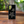 Load image into Gallery viewer, Hawaiian Sea Turtle (Honu) Wood Case Black (Samsung)