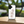 Load image into Gallery viewer, Plumeria White Wood Phone Case