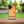 Load image into Gallery viewer, Hawaiian Islands Wood Case (iPhone)