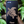 Load image into Gallery viewer, Honu Mandala Black Wood Case Hawaii