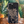 Load image into Gallery viewer, Hibiscus Pineapple Black Wood Case Case (iPhone)