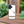 Load image into Gallery viewer, Hawaiian Islands Case White (iPhone)