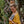 Load image into Gallery viewer, Woman in a yellow top holding a patterned clutch in front of greenery
